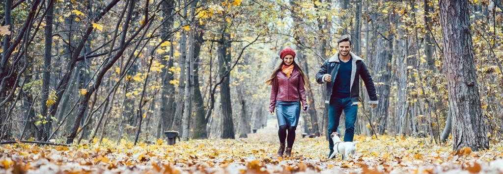 glückliches Paar läuft mit Hund durch herbstlichen Wald
