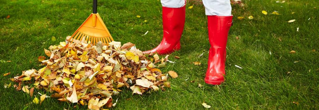 zusammengekehrter Laubhaufen mit Laubrechen im Garten