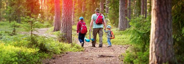 Vater geht mit 2 Kindern im Wald wandern