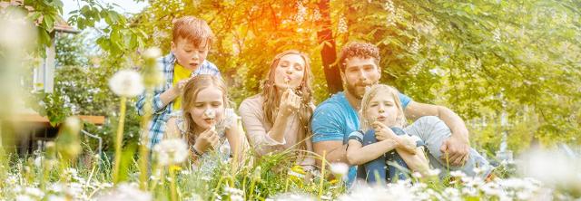 Familie spielt auf Wiese mit Pusteblumen