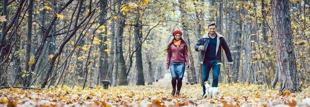 Junges Paar mit Hund geht im herbstlichen Wald spazieren.