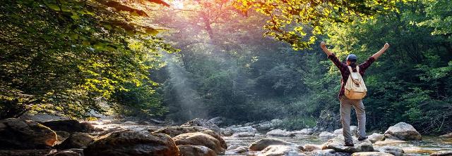 Wanderer steht im Wald