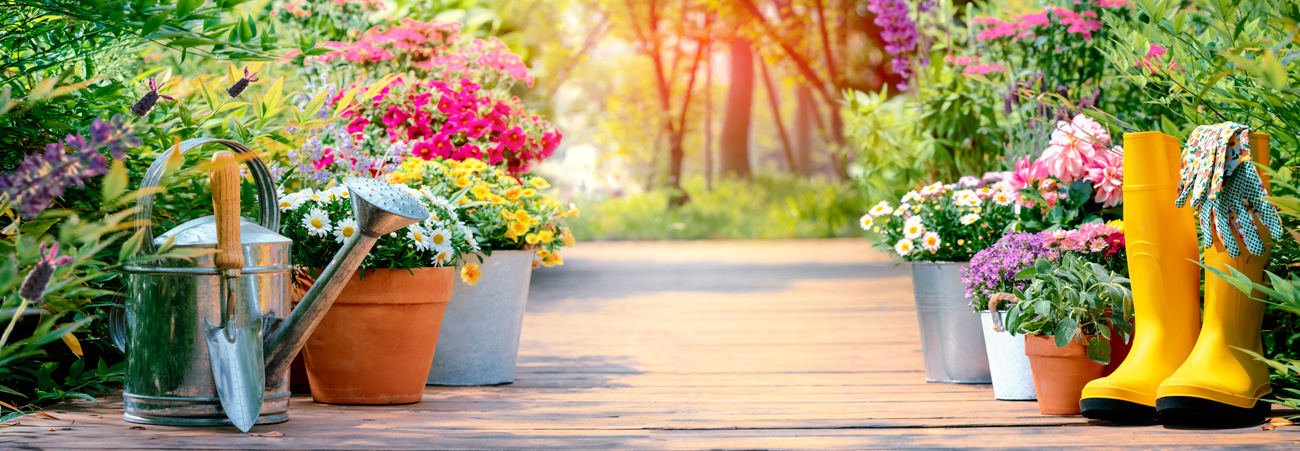 Ansammlung Blumentöpfe mit bunten Sommerblumen, Gießkanne, Gummistiefel