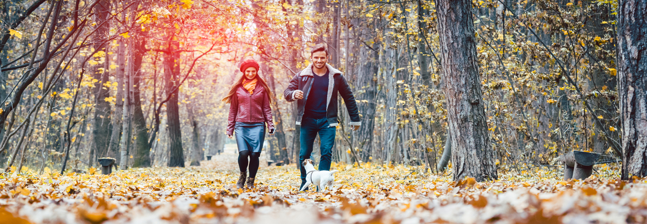 Päärchen läuft durch einen Wald mit viel Laub