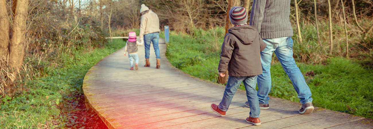 Familie mit zwei Kindern läuft auf einem Holzsteg durch den Wald.