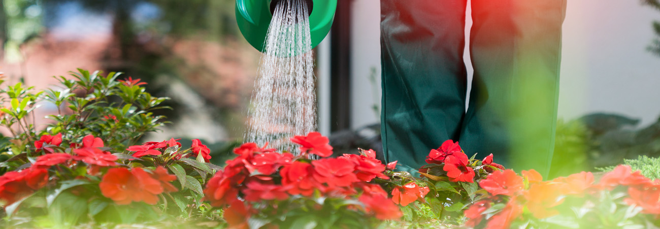 Blumenbeet wird gegossen