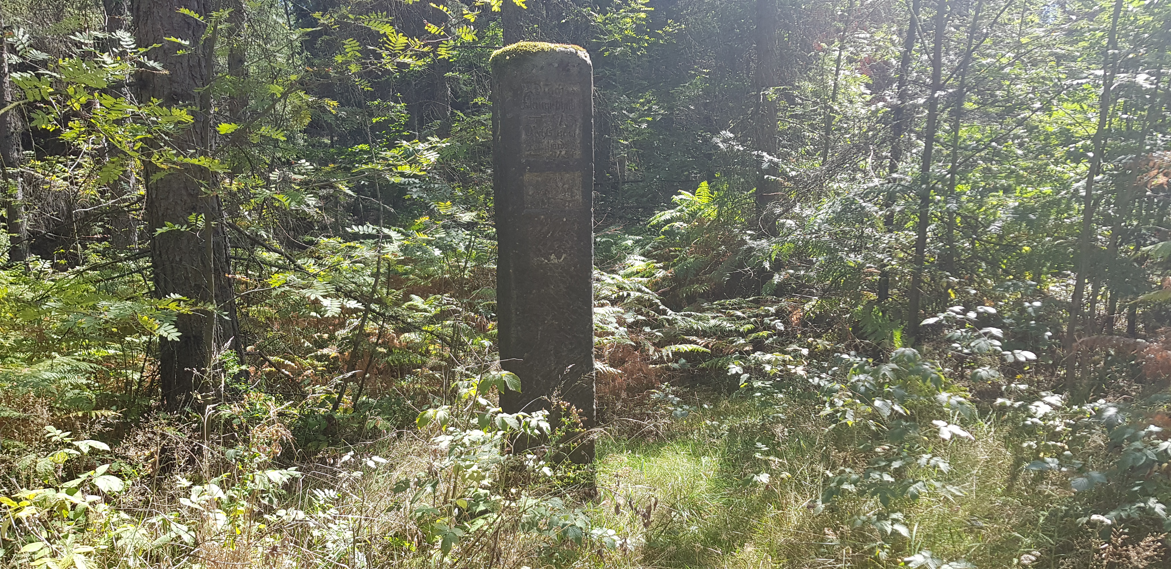 Sächsische Schweiz: steinerne Wegsäule aus dem Jahr 1840