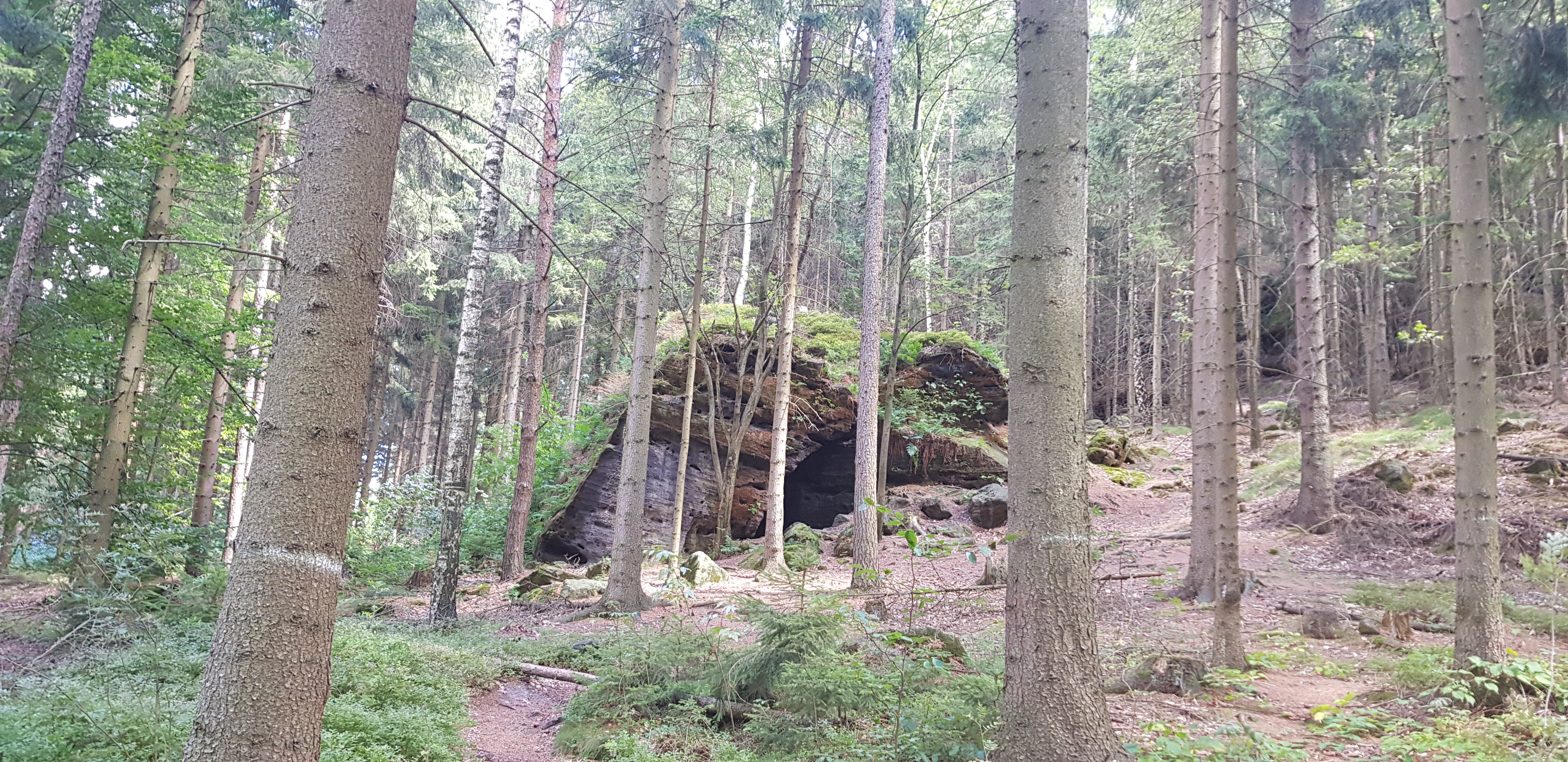 Sächsische Schweiz: Alte Wildbrethöhle