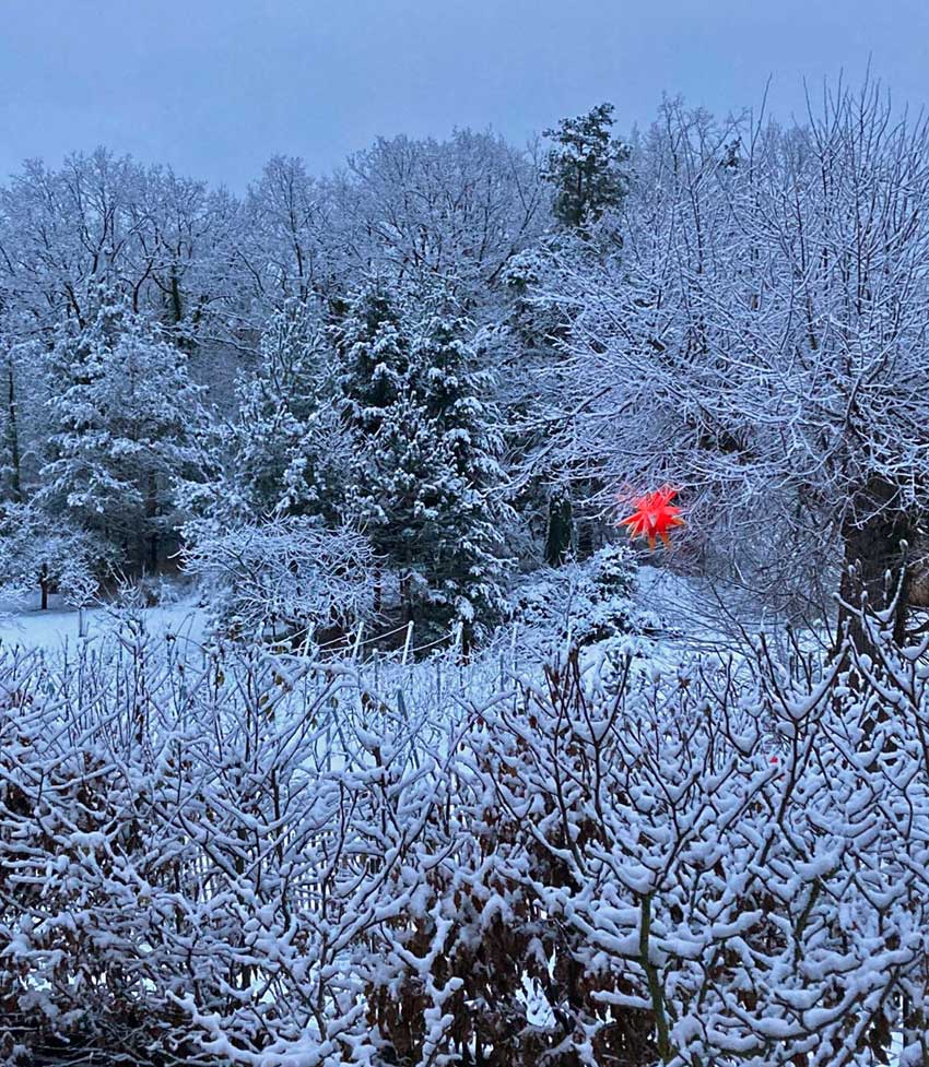Winterlandschaft mit rotem Stern am Baum