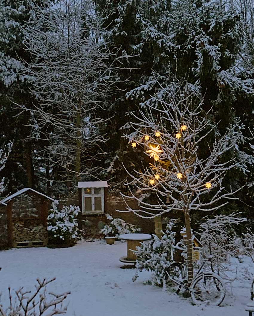 winterlicher Garten mit leuchtenden Sternen