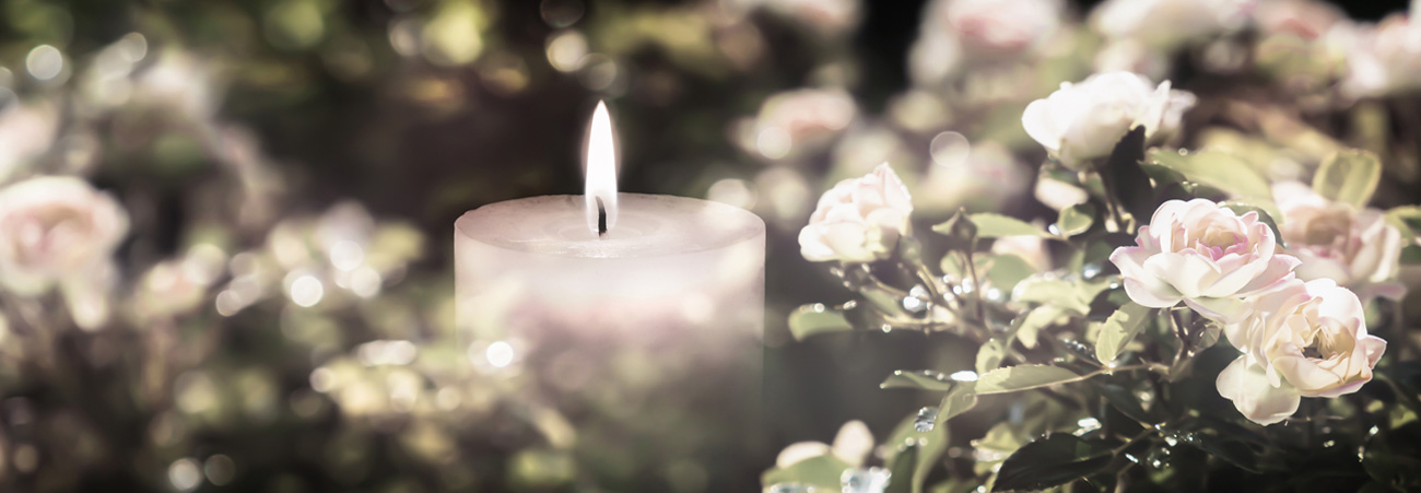 brennende Kerze zwischen weißen Rosen