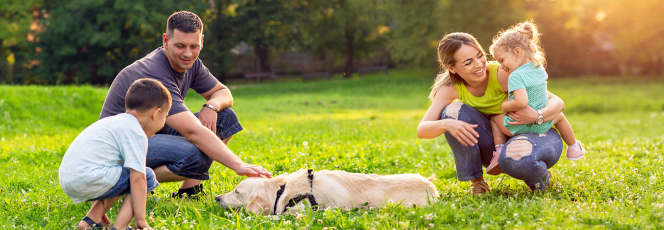 Familie spielt auf Wiese mit Hund