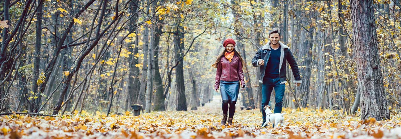 Junges Paar mit Hund geht im herbstlichen Wald spazieren.