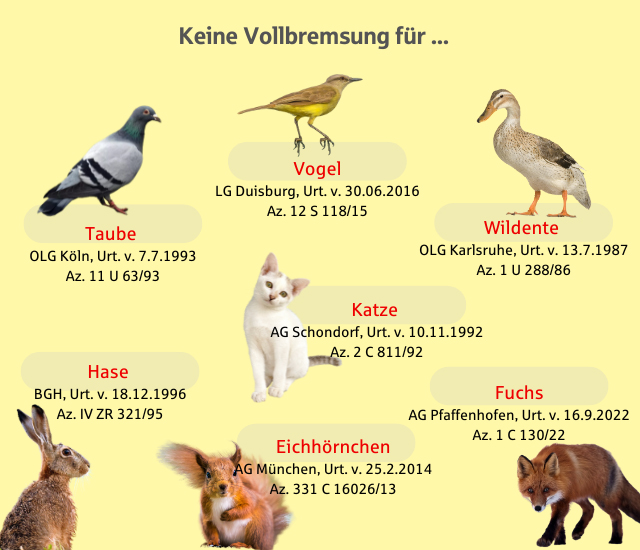 kleintiere-infografik