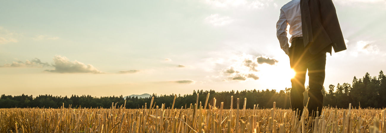 Mann läuft durch goldenes Kornfeld im Sonnenuntergang.