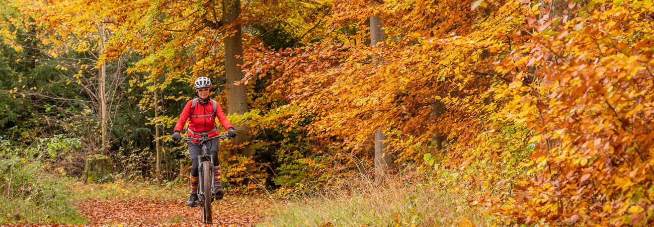 Junge, sportliche Frau fährt Mountainbike im bunten Herbstwald
