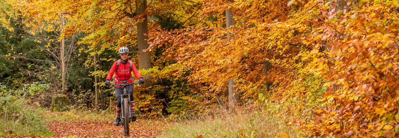 Radfahrer im Herbstwald