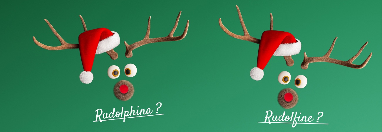 Humorvolle Weihnachtsillustration mit Rentiergesichtern und dem Wortspiel ‚Rudolphina?‘ und ‚Rudolfine?‘ – Hinweis darauf, dass Rentier Rudolph weiblich ist