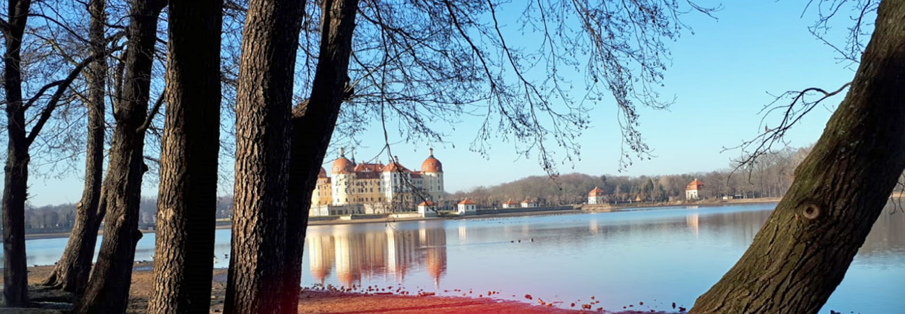 Blick über den See auf Schloss Moritzburg