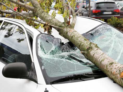 beschädigtes Auto unter einem Baum