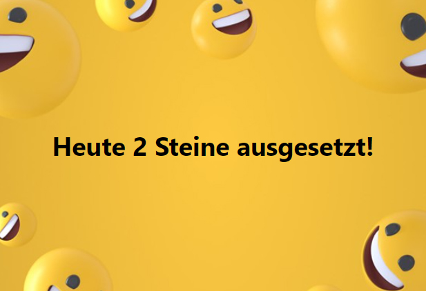 Schriftzug 2 Steine ausgesetzt von Smilys umrahmt