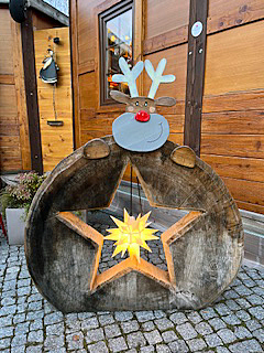 Außendekoration Weihnachtsstern und Rudolph Rentier