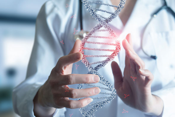 Mensch hält ein Modell von DNA Strang in der Hand