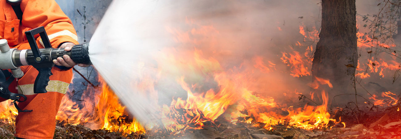 Feuerwehrleute versuchen, einen Waldbrand zu löschen.