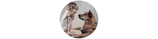 Hundehalter-Haftpflichtversicherung