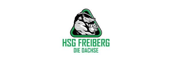 HSG Freiberg e.V.