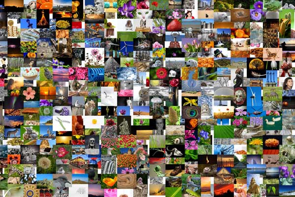 Viele Fotos