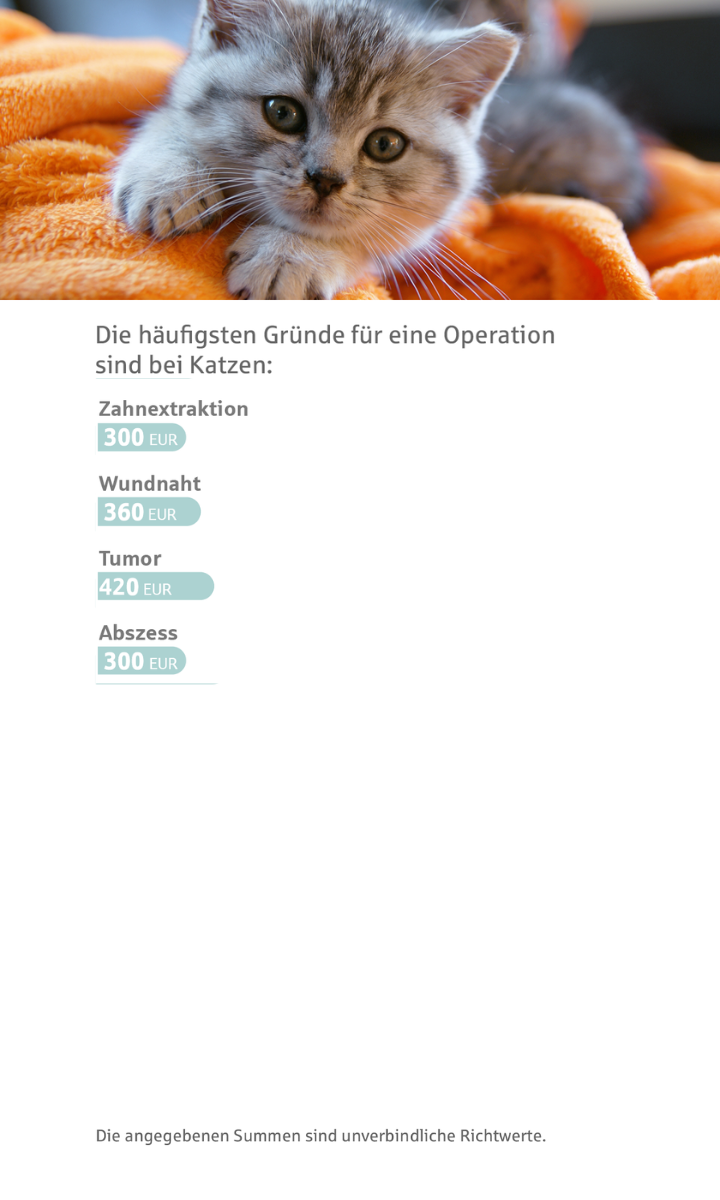 OP-Gründe Katzen