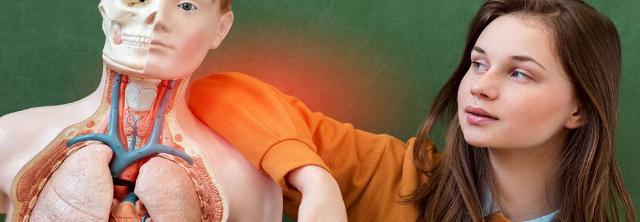 Schülerin im Biologieunterricht mit Menschen-Dummy