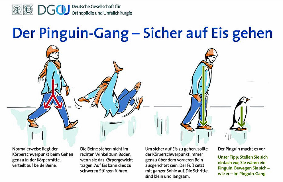 Illustration Pingiun-Gang